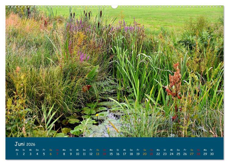 Produktbild: Naturschutzgebiet W&uuml;mme (Wandkalender 2026 DIN A2 quer), CALVENDO Monatskalender