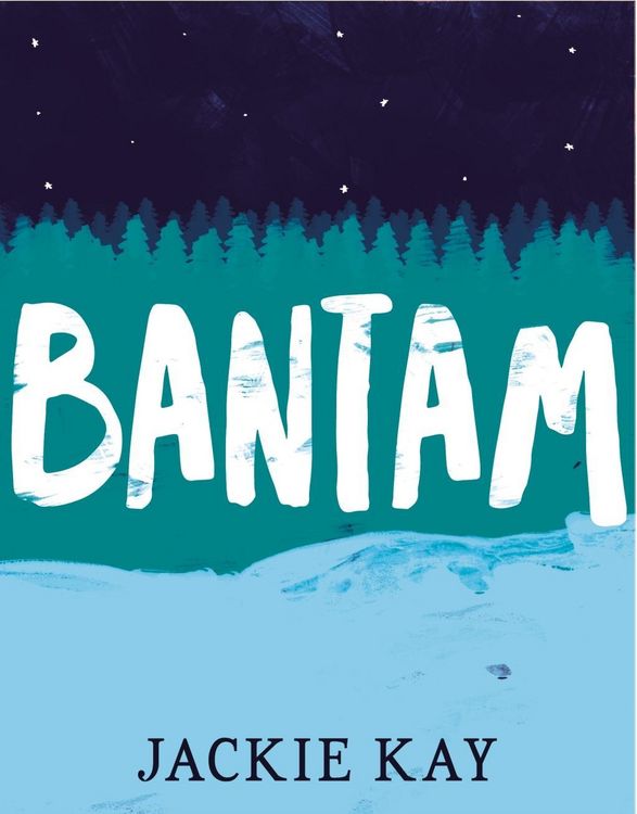 Produktbild: Bantam