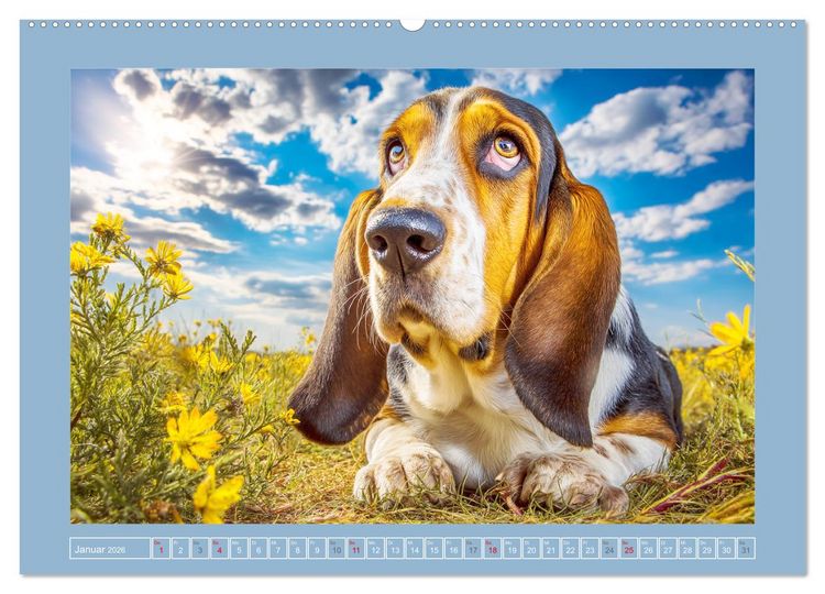 Produktbild: Schlappohren-Zauber. Fr&ouml;hliche Bassets in bunten Momenten (hochwertiger Premium Wandkalender 2026 DIN A2 quer), Kunstdruck in Hochglanz