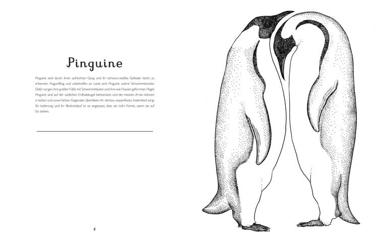 Produktbild: Das Museum der Tiere. Mein Malbuch