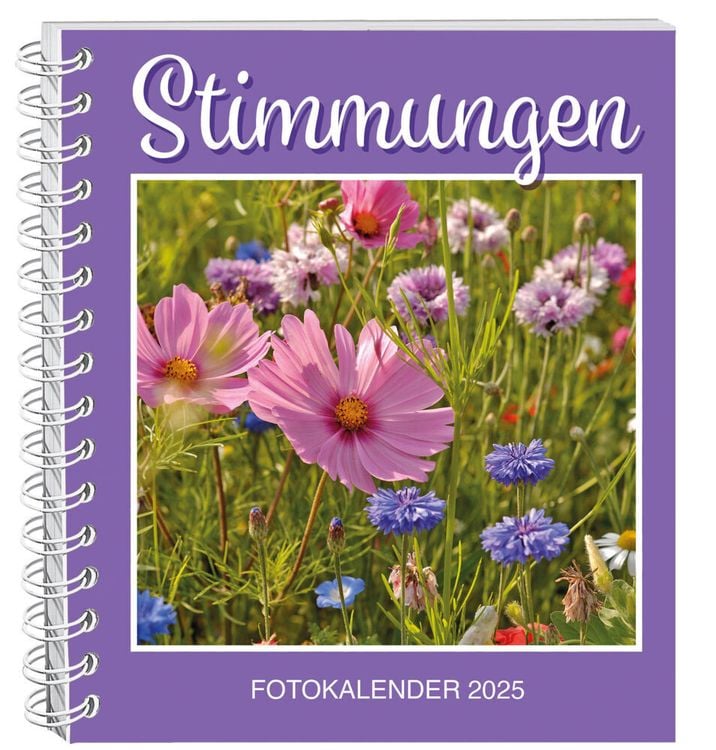 Stimmungen Fotokalender 2025 - Buchkalender & Taschenkalender | Thalia