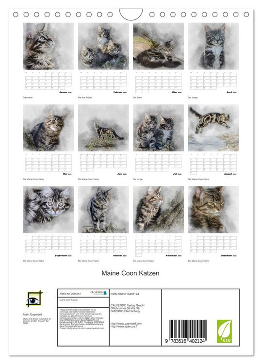 Produktbild: Maine Coon Katzen (Wandkalender 2026 DIN A4 hoch), CALVENDO Monatskalender
