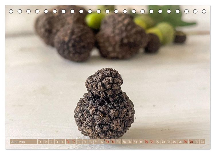 Produktbild: French Truffle Wonders (Desk Calendar 2026 DIN A5 landscape), CALVENDO 12 Month DeskCalendar