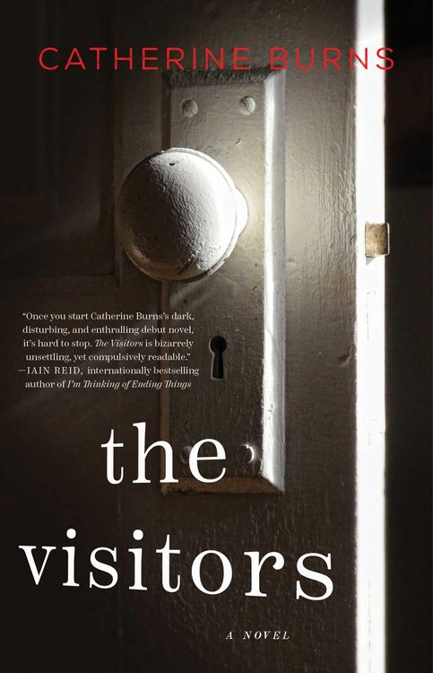 Produktbild: The Visitors