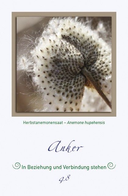 Produktbild: Magische Pflanzenbilder