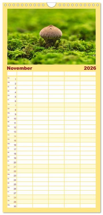 Produktbild: Familienplaner 2026 - Fantastische Pilzwelten mit 5 Spalten (Wandkalender, 21 x 45 cm) CALVENDO