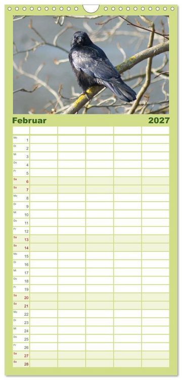 Produktbild: Familienplaner 2027 - Das Leben der Rabenv&ouml;gel mit 5 Spalten (Wandkalender, 21 x 45 cm) CALVENDO