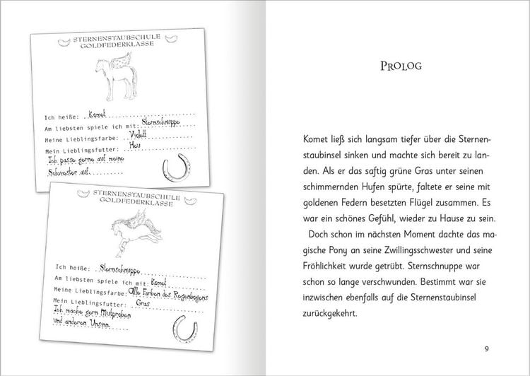 Produktbild: Zauberponys &ndash; Magie auf vier Hufen (Zauberponys)