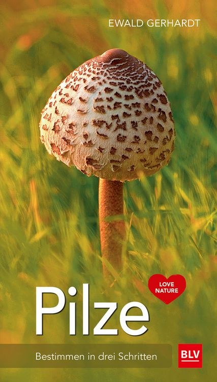 Produktbild: Pilze