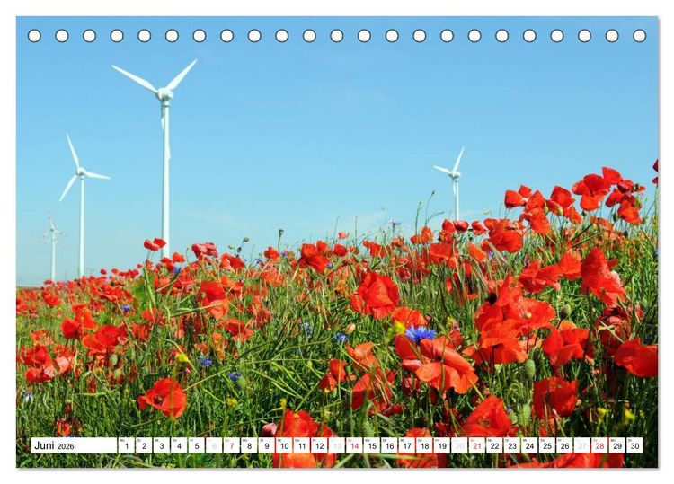Produktbild: Vier Jahreszeiten im Land Brandenburg (Tischkalender 2026 DIN A5 quer), CALVENDO Monatskalender