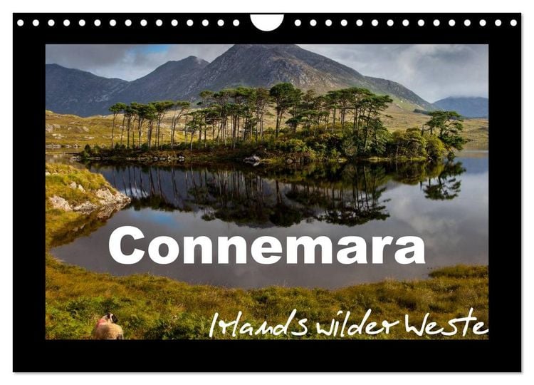Produktbild: Connemara - Irlands wilder Westen (Wandkalender 2026 DIN A4 quer), CALVENDO Monatskalender