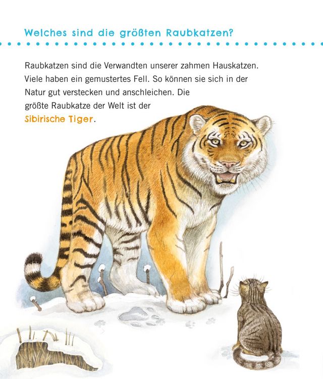 Produktbild: Unkaputtbar: Erstes Wissen: Gro&szlig;e Tiere