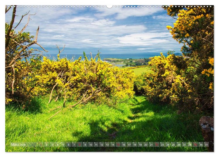 Produktbild: Traumhafte Wege - Unterwegs auf Neuseelands S&uuml;dinsel (hochwertiger Premium Wandkalender 2026 DIN A2 quer), Kunstdruck in Hochglanz