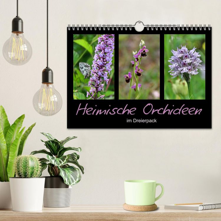 Produktbild: Heimische Orchideen im Dreierpack (Wandkalender 2026 DIN A4 quer), CALVENDO Monatskalender