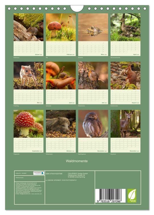 Produktbild: Waldmomente (Wandkalender 2026 DIN A4 hoch), CALVENDO Monatskalender