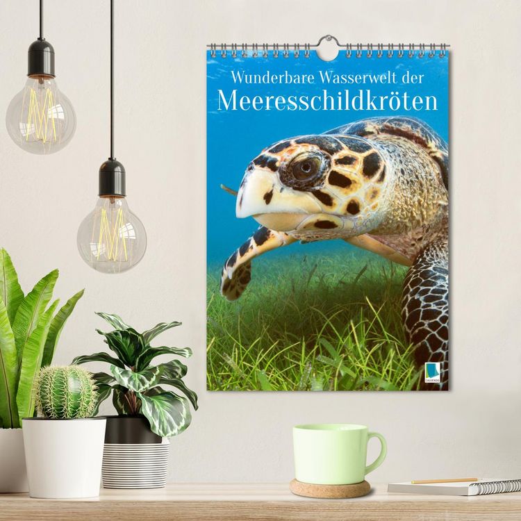 Produktbild: Wunderbare Wasserwelt der Meeresschildkr&ouml;ten (Wandkalender 2026 DIN A4 hoch), CALVENDO Monatskalender