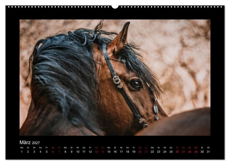 Produktbild: Die Faszinierende Welt der Pferde (hochwertiger Premium Wandkalender 2027 DIN A2 quer), Kunstdruck in Hochglanz