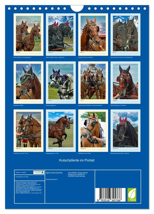 Produktbild: Kutschpferde im Portait (Wandkalender 2026 DIN A4 hoch), CALVENDO Monatskalender