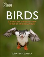 Produktbild: Birds