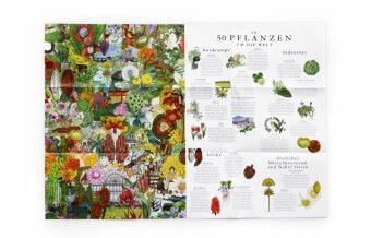 Produktbild: In 50 Pflanzen um die Welt