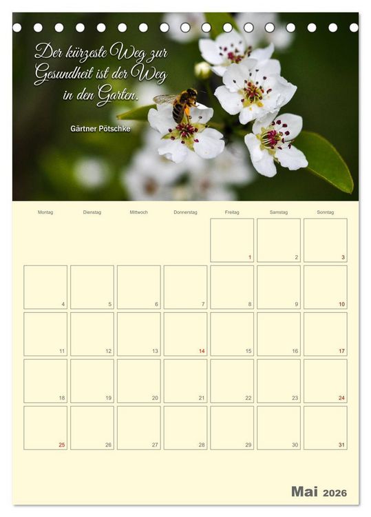 Produktbild: Gartenliebe (Tischkalender 2026 DIN A5 hoch), CALVENDO Monatskalender