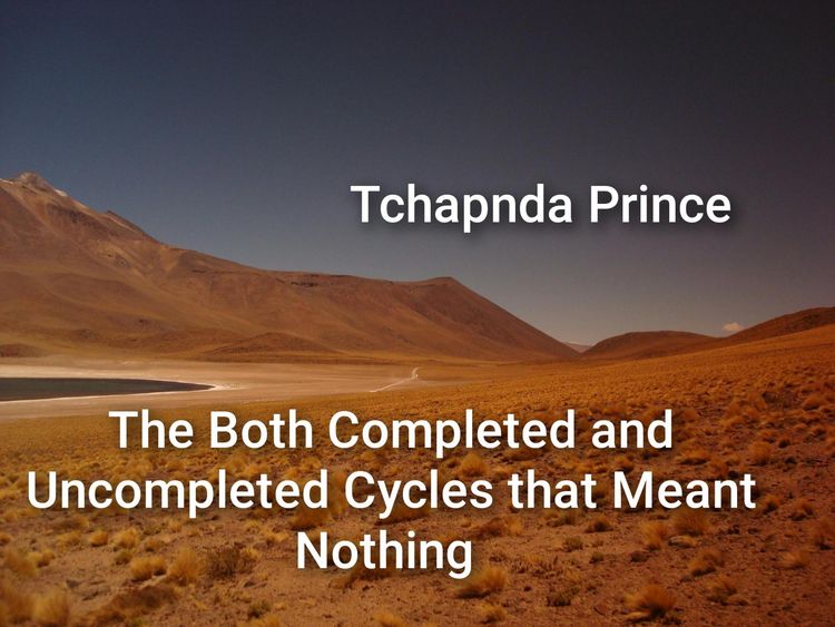 Produktbild: The Both Completed and Uncompleted Cycles that Meant Nothing