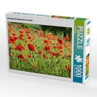 Produktbild: CALVENDO Puzzle Und abends beginnt das Leuchten | 1000 Teile Lege-Gr&ouml;&szlig;e 64x48cm Foto-Puzzle f&uuml;r gl&uuml;ckliche Stunden