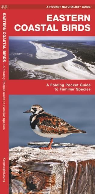 Produktbild: Eastern Coastal Birds