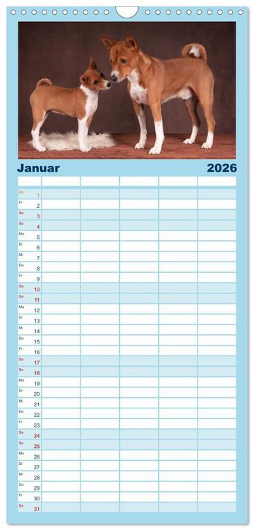Produktbild: Familienplaner 2026 - Basenji-Sch&ouml;nheiten mit 5 Spalten (Wandkalender, 21 x 45 cm) CALVENDO