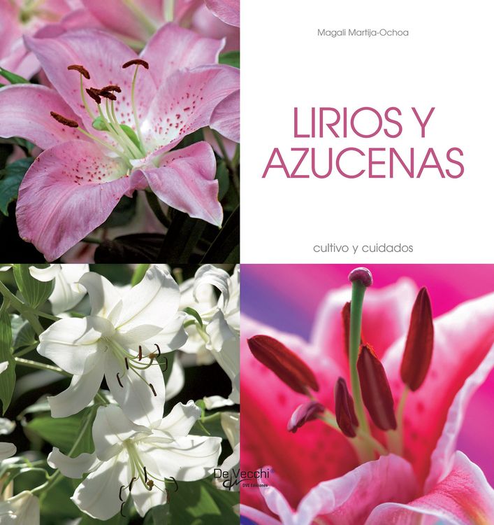 Produktbild: Lirios y azucenas - Cultivo y cuidados