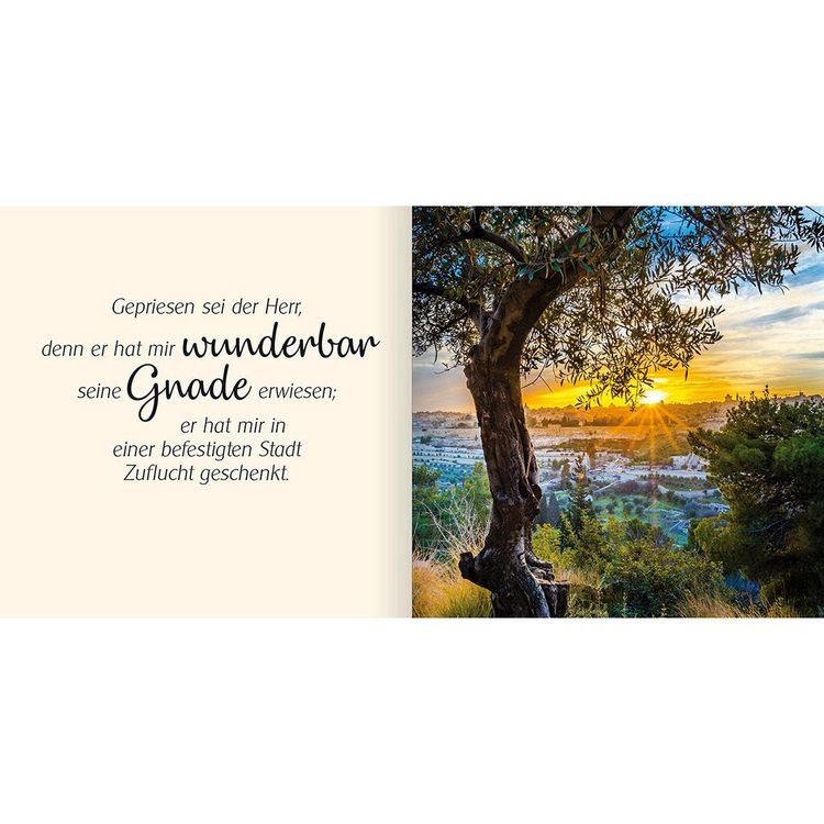 Produktbild: Ich schenke dir Psalm 31