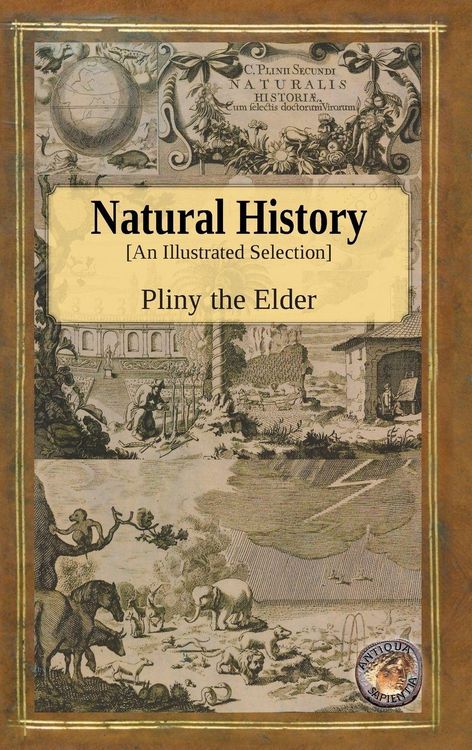 Produktbild: Natural History - An Illustrated Selection