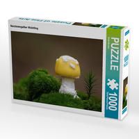 Produktbild: CALVENDO Puzzle Narzissengelber Wulstling 1000 Teile Lege-Gr&ouml;&szlig;e 64 x 48 cm Foto-Puzzle Bild von Beate Wurster