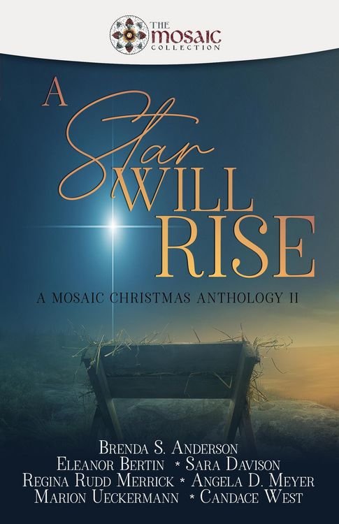 Produktbild: A Star Will Rise: A Mosaic Christmas Anthology II