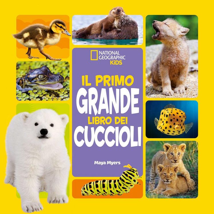 Produktbild: Il primo grande libro dei cuccioli