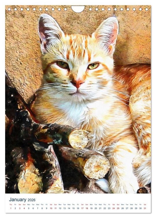 Produktbild: Umbrian Cats (Wall Calendar 2026 DIN A4 portrait), CALVENDO 12 Month Wall Calendar