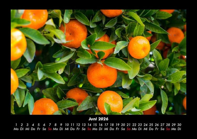Produktbild: Obstkalender 2026 Fotokalender DIN A3