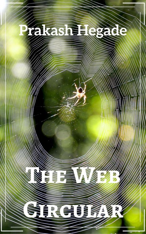 Produktbild: The Web Circular