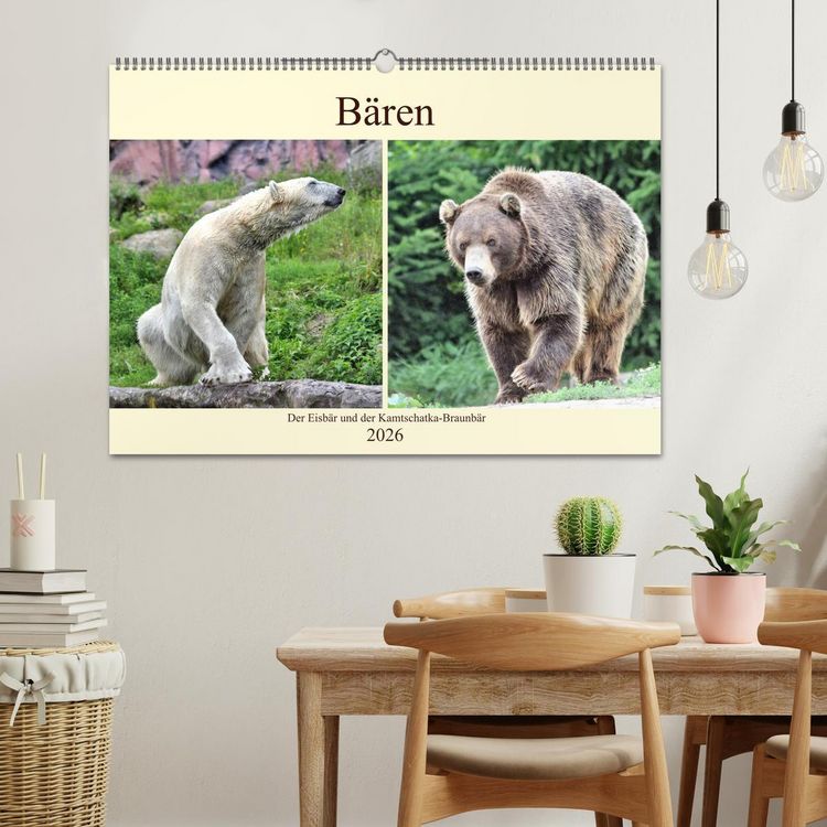 Produktbild: B&auml;ren - Der Eisb&auml;r und der Kamtschatka-Braunb&auml;r (Wandkalender 2026 DIN A2 quer), CALVENDO Monatskalender