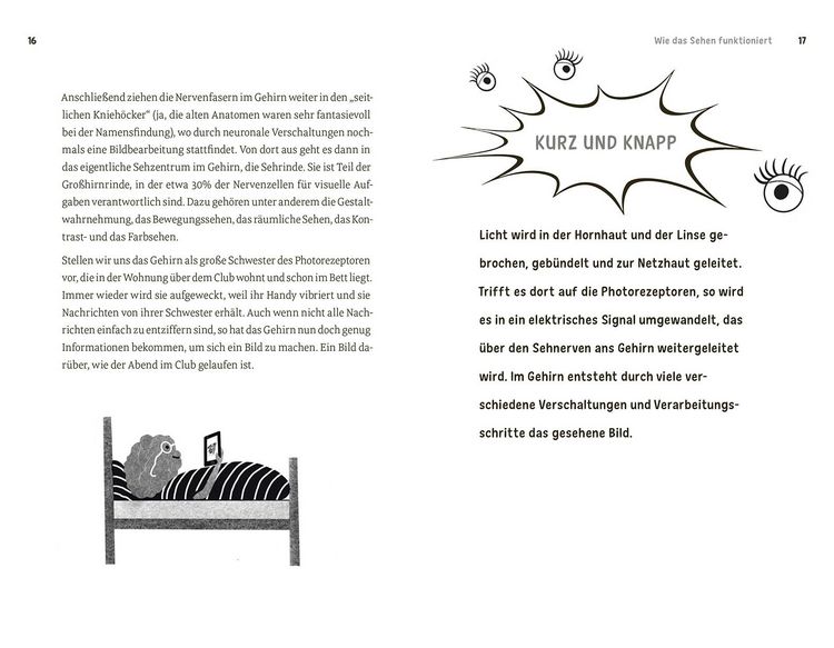 Faszination Auge