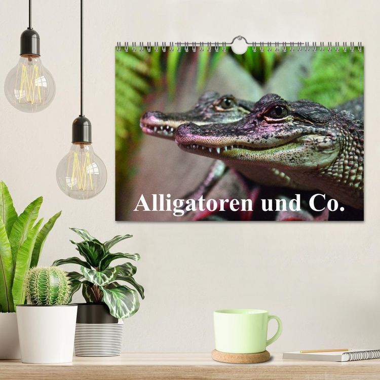 Produktbild: Alligatoren und Co. (Wandkalender 2026 DIN A4 quer), CALVENDO Monatskalender