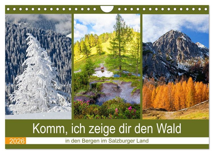Produktbild: Komm, ich zeige dir den Wald (Wandkalender 2026 DIN A4 quer), CALVENDO Monatskalender