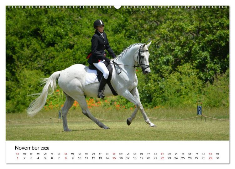 Produktbild: Vielseitigkeitsreiten (hochwertiger Premium Wandkalender 2026 DIN A2 quer), Kunstdruck in Hochglanz