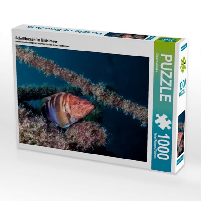 Produktbild: CALVENDO Puzzle Schriftbarsch im Mittelmeer | 1000 Teile Lege-Gr&ouml;&szlig;e 64x48cm Foto-Puzzle f&uuml;r gl&uuml;ckliche Stunden