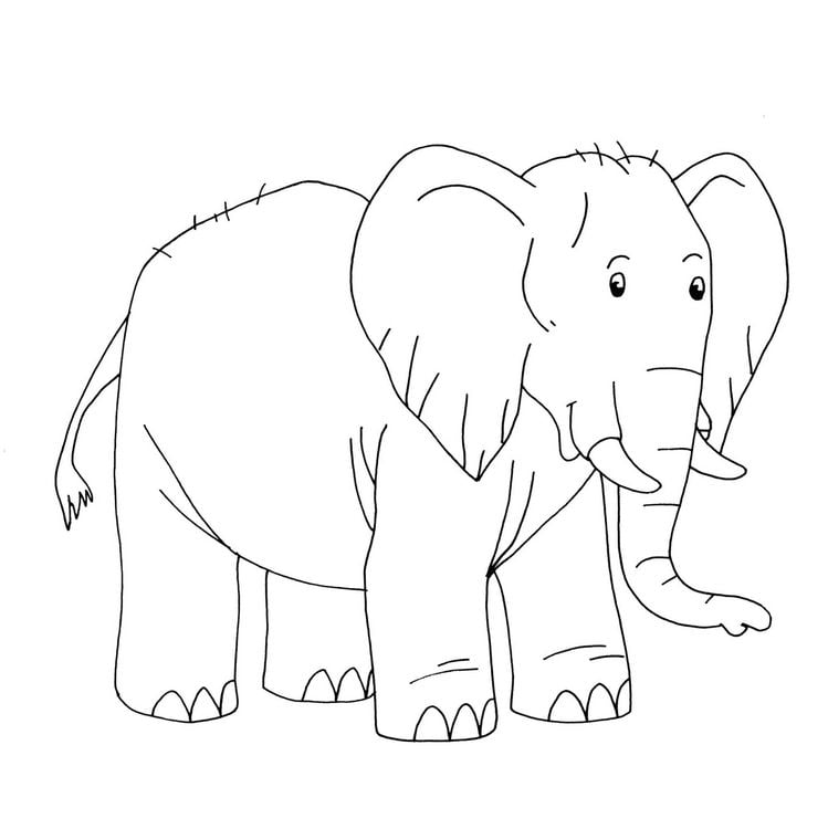 Produktbild: Abenteuer-Malblock: 32 coole Motive (Lenny Hunter)