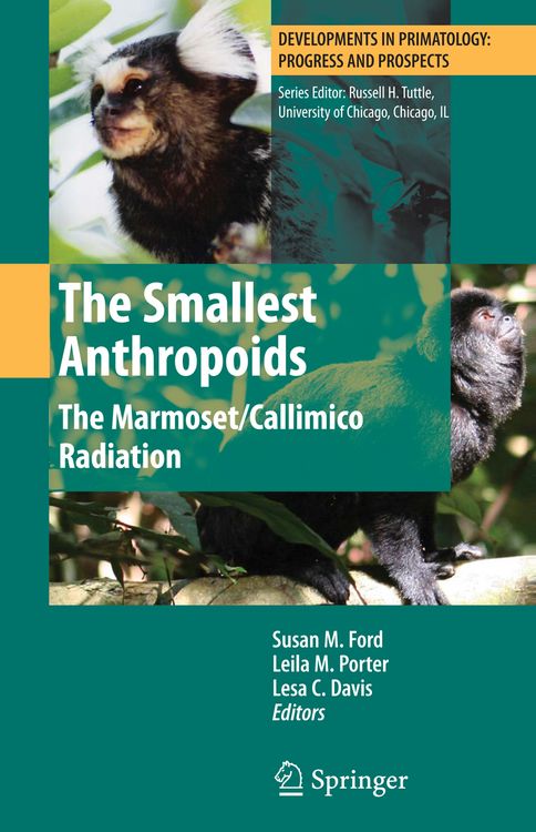 Produktbild: The Smallest Anthropoids