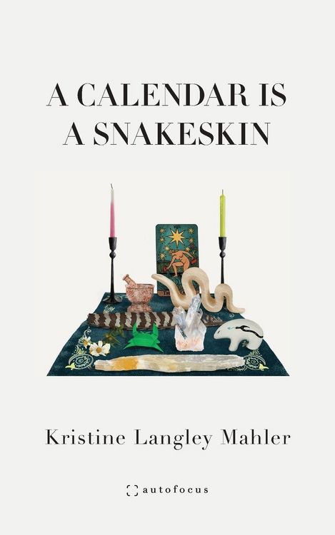 Produktbild: A Calendar Is a Snakeskin