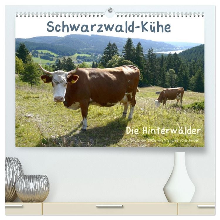 Produktbild: Schwarzwald-K&uuml;he - Die Hinterw&auml;lder (hochwertiger Premium Wandkalender 2026 DIN A2 quer), Kunstdruck in Hochglanz