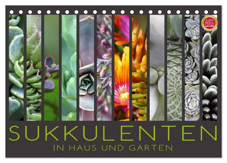 Produktbild: Sukkulenten in Haus und Garten (Tischkalender 2026 DIN A5 quer), CALVENDO Monatskalender