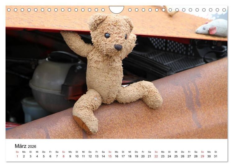 Produktbild: Teddys...jeder liebt sie (Wandkalender 2026 DIN A4 quer), CALVENDO Monatskalender